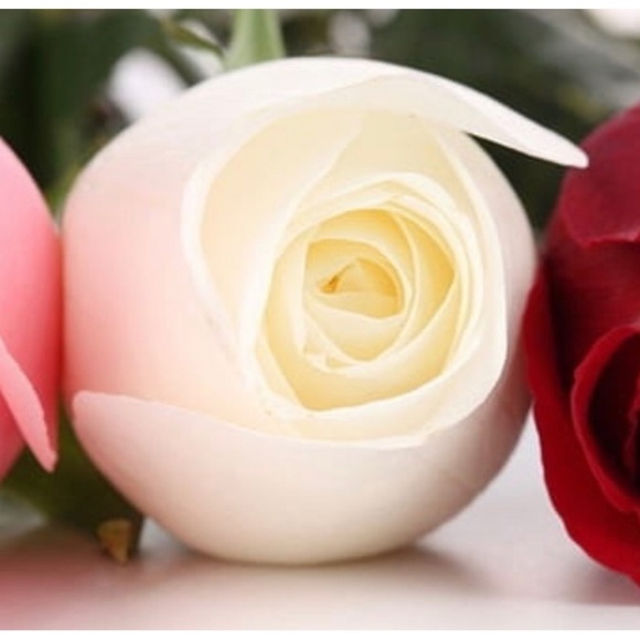 Meet your Posher, mybestwishes2u ๐น - Picture 10 of 11